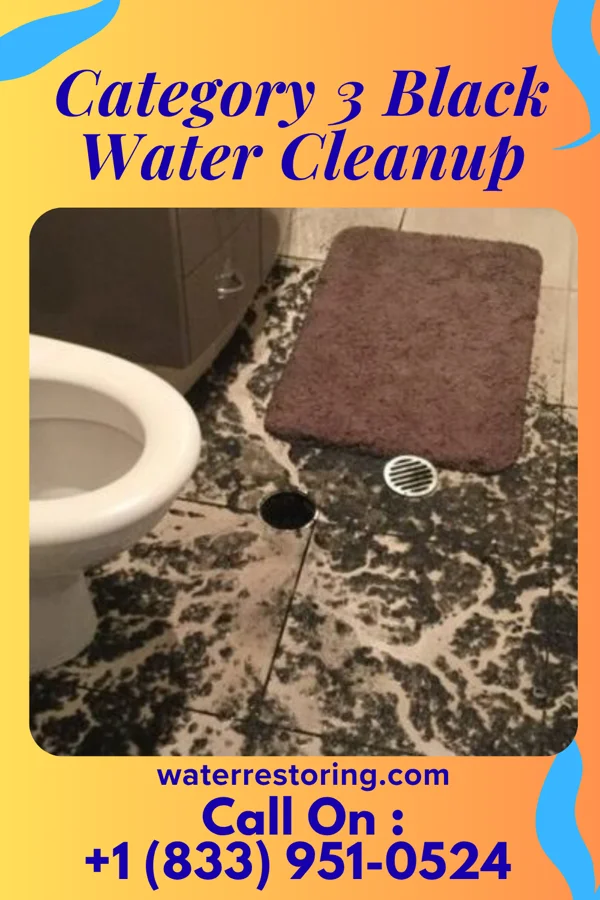 Category 3 Black Water Cleanup in Union City, PA