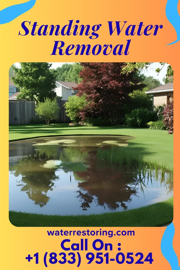 Standing Water Removal in Union City, PA